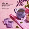 Yogi Tea Elderberry Lemon Balm Immune & Stress Tea -