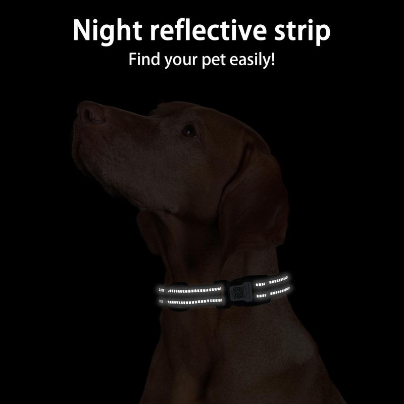 Dog Collar with QR Code, Reflective Dog Collar, Soft Neoprene