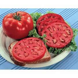 Parks Whopper tomato seeds New for 2025 season 20 count  100% satisfaction