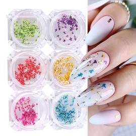 EYVRPAU Set of 6 Nail Art Flowers Set, Gel Nail Accessories, 6 Colours, Nail Art Stickers, Dry Flowers Kit, Dried Flowers Accessories Set, DIY Nail Decoration