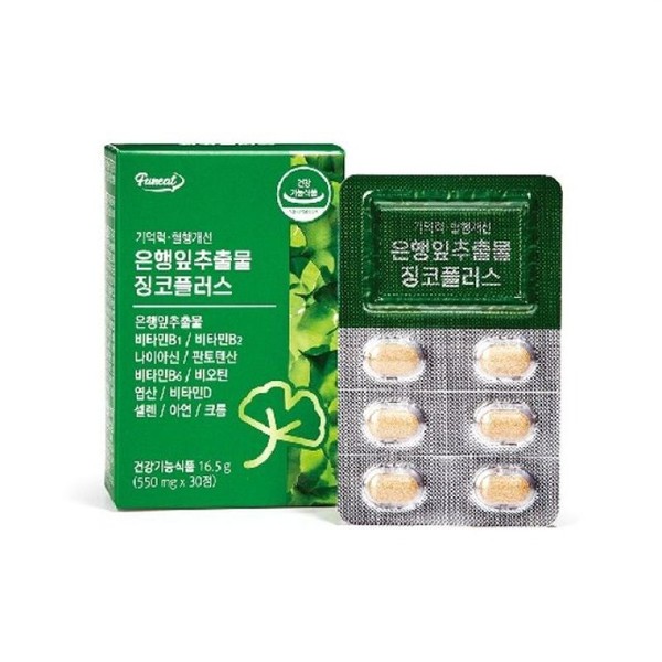 Funnit Memory Improvement, Blood Circulation Improvement, Ginkgo Plus, 12 Boxes