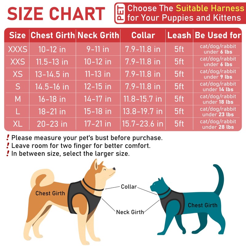 Small Pet Harness Collar and Leash Set, Step in No