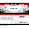 Fringe Tree Salve (2 oz, ZIN: 520176) - 3 Pack