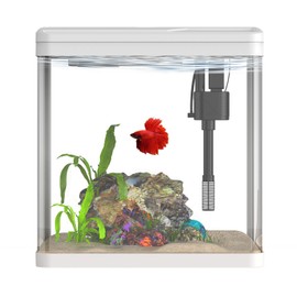 2 Gallon Glass Betta Fish Tank，Small Fish Tank with Filter and Light,Self-Cleaning Fish Tank.