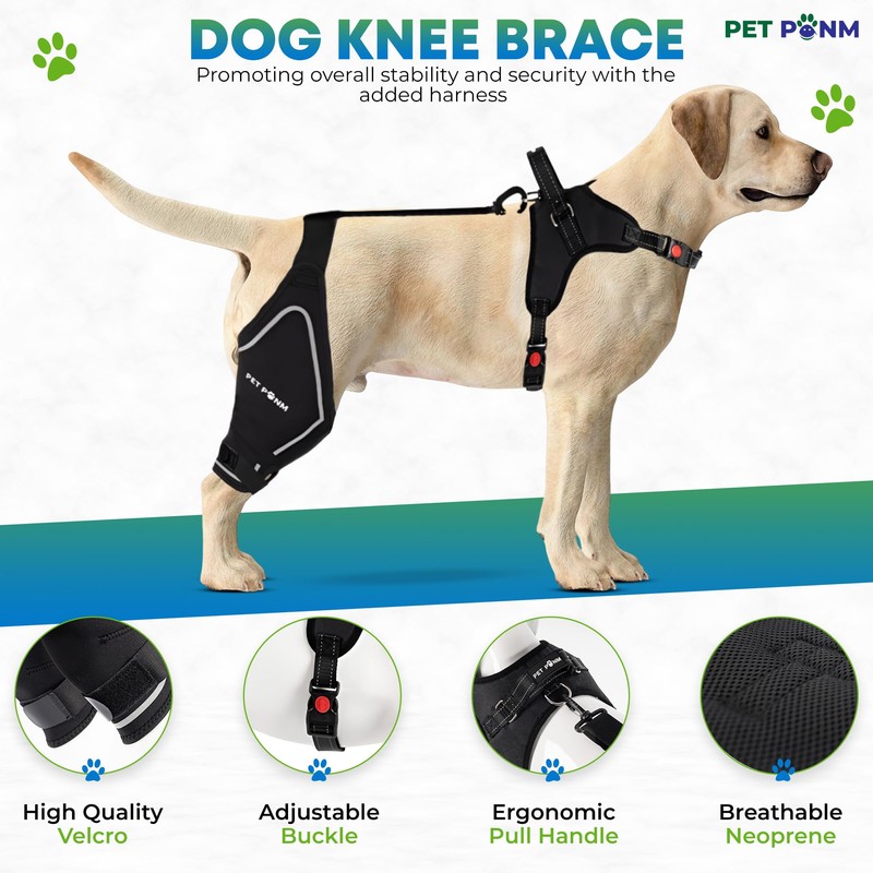 Petpanm- Adjustable Dog Knee Brace- Right Hind Leg with Integreted
