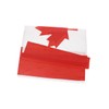Parliky Parade Country Flag Canada Flags Cheering Flag 3x5 Canada