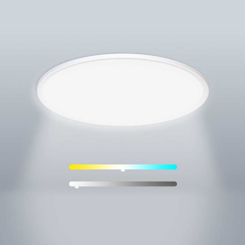 Smart Ceiling Light WiFi 25W Cold and Warm Light RGB