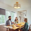 DLLT Flush Mount Ceiling Light: Modern 3-Light Semi Flush Mount