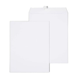 Staples 295840 Gummed Catalog Envelopes 10-Inch L x 13-Inch H White 100/Box (295840N)