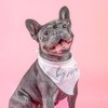 Big Sister Script Boho Dog Bandana | 100% Unbleached Cotton