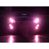Xentec 9006 (HB4) PINK HID Xenon Bulb bundle with 35W