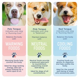 Side by Side Pork & Rabbit Stew, Cooling Dog Food for All Breeds, Made of Whole Foods, Every Ingredient Has a Purpose, No Artificial Additives, Fillers, or Gums, Ready to Serve, 12.5 oz, 3 Pack