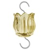 Glass Ant Moat for Hummingbird Feeder - 3 OZ Tulip