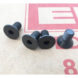 EDCO 4PK EDCO Flat HD SKT Screw (Screws Only)  for 10" Grinding Plates