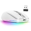 Wireless Mouse, Dual Mode Portable Ergonomic Wireless Mouse with Receiver,