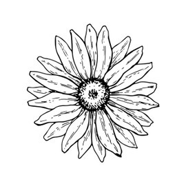 Newstamps Echinacea Flower Motif Stamp Made of Wood and Rubber for Card Making, Wooden Stamp, Flowers, Plants, Floral, Meadow, Grasses, Scrapbook, Textile Stamp, Decoration, Children