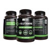 Pure Original Ingredients L-Glutamine (365 Capsules) No Magnesium Or Rice