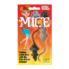 Mice Carded Two Mice