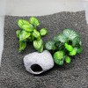 Smoothedo-Pets Aquarium Plants Fish Tank Decorations Betta Rest Soft Silk