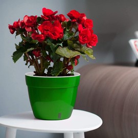 DECOPOTS - Self Watering Planter - Modern Flower Pot with Water Level Indicator for All House Plants, Flowers, Herbs (Diameter 9.2", Green - Gold/White)