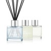 3 Pack Fragrance Reed Diffuser, 50ML Lavender Jasmine Freesia Aromatherapy