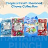 Hawaiian Punch Candy Chews Stand Up Bag 8.75 oz