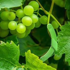 WLSANX Limb Spreaders Adjustable, 25pcs Fruit Tree Branch Spreader New Branch Spreader Puller for Shaping,Bonsai Plant Branches Bender Tool (Green)