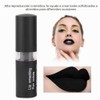 Lápiz Labial Mate, Paleta de Lápiz Labial, Lápiz Labial Mate