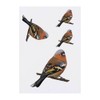 4 x 'Eurasian Chaffinch' Temporary Tattoos - Water Resistant, Skin-Safe,