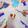 7-Piece Small Pet Grooming Kit with Brush, Nail Clippers, and