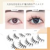 LASHIDOL False Eyelashes Natural Eyelashes False Eyelashes Outer Corner False