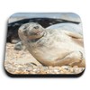 1 x Square MDF Fridge Magnet - Cute Grey Seal
