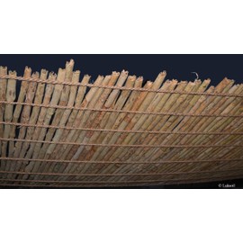 Certified Organic Ceylon Ceylon/True Cinnamon Premium Grade Sticks 50g