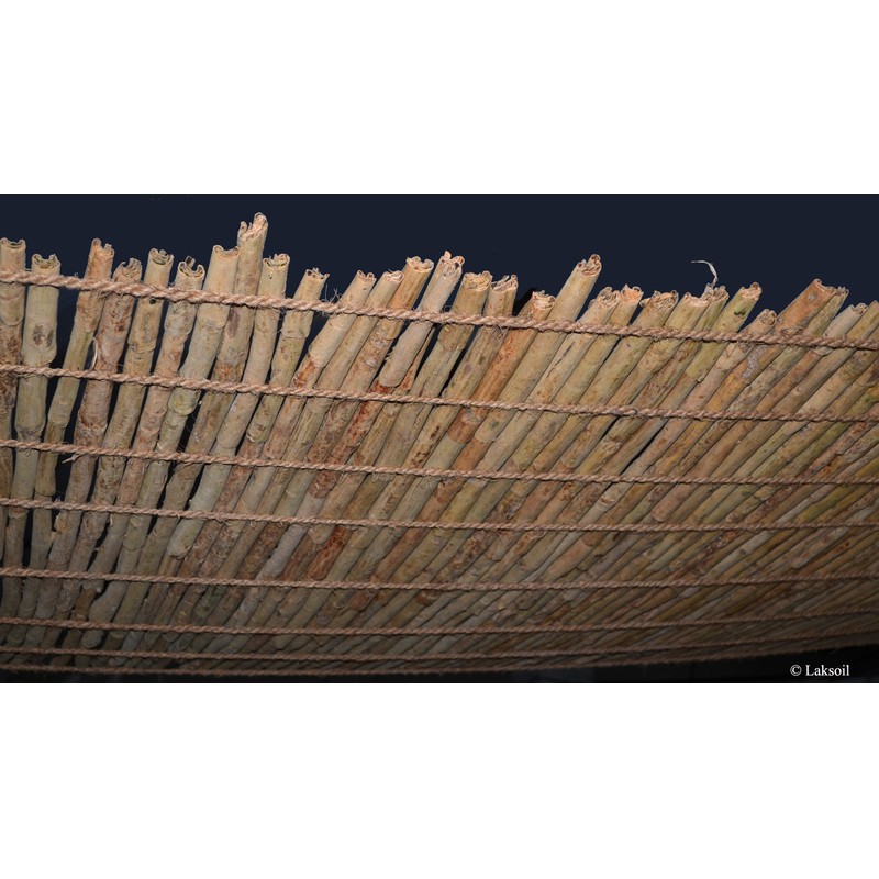 Certified Organic Ceylon Ceylon/True Cinnamon Premium Grade Sticks 50g