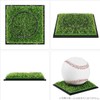 Generic Ultra Pro Clear UV Resistant Ball Case Baseball Case
