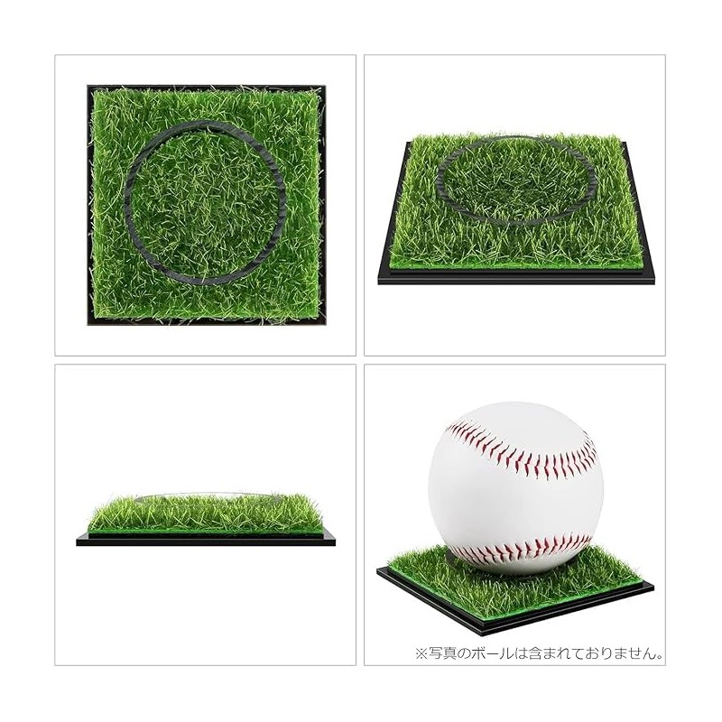Generic Ultra Pro Clear UV Resistant Ball Case Baseball Case