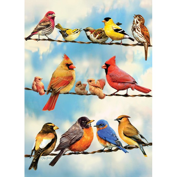 Cobble Hill 500 Piece Puzzle - Birds on a Wire