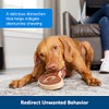 PetSafe Busy Buddy Variety Pack Treat Refill Rings, Size B