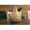 Dried Martin Gourds (3-Pack) - 5" in Diameter, Ready for