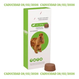 1 B Verde 10-20 K Perro Msd