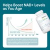 LUCKDATE NAD+ Supplement 7-in-1 Formula with Collagen L-ergothioneine & Vitamin