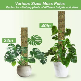 HOLANHING 60"/40"/24" Metal Moss Pole, D Shape Sphagnum Moss Pole, Moss Poles for Climbing Plants, Monstera, Indoor Climbing Plants (6Pcs 40")