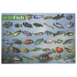 Painless Learning Freshwater Fish Placemat
