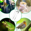 JIYIN 3 Pcs Reptile Feeding Tweezers, Long Aquarium Tweezers Stainless