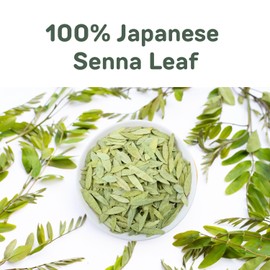 山本漢方製薬株式会社 YAMAKAN Senna Herbal Tea Bags with 100% Senna leaf, Tea Bags for Gentle Relief of Occasional Constipation, Supports Regular Digestion, Caffeine Free Value Pack with 48 Decaf Bags