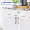 JOY DECOR 10 Pack Brushed Nickel Cabinet Knobs Kitchen Handles