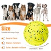 Moonorange Large Dog Vocal Balls, Interactive Squeaky Dogs Balls, Tough