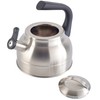 Kenmore Elite Costner 2.3 Qt Stainless Steel Tea Kettle w/Encapsulated