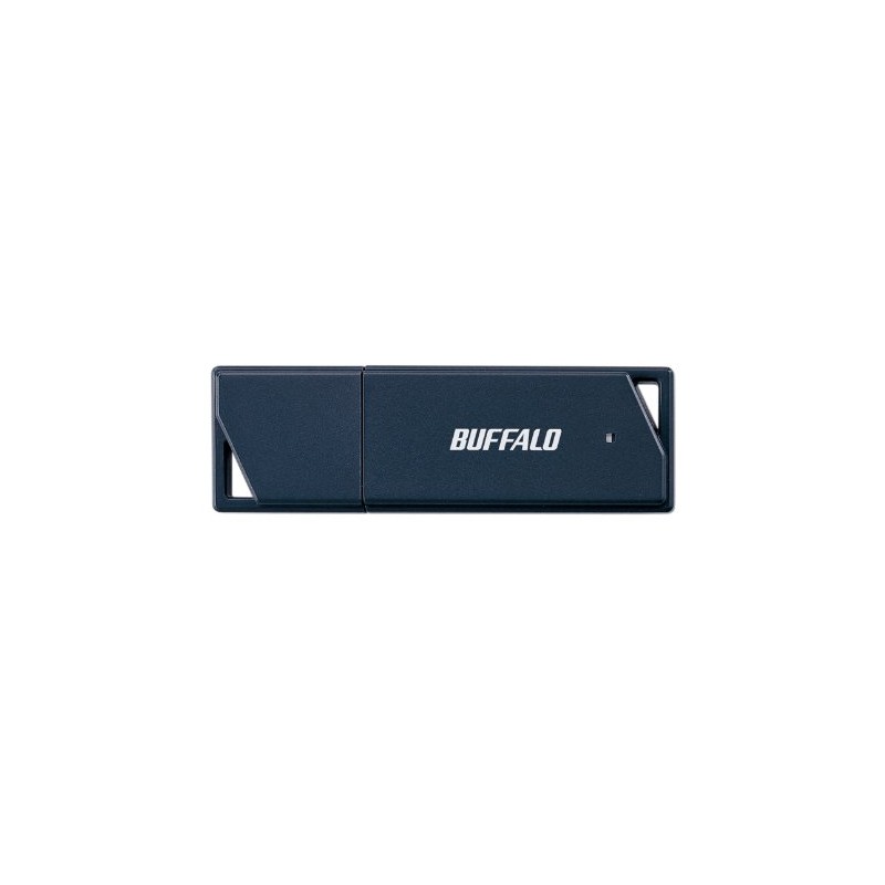BUFFALO 2GB RUF2-K2GE-BK Value Type USB Memory