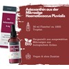 Organic Astaxanthin Drops, 8 mg Astaxanthin per Daily Dose, High